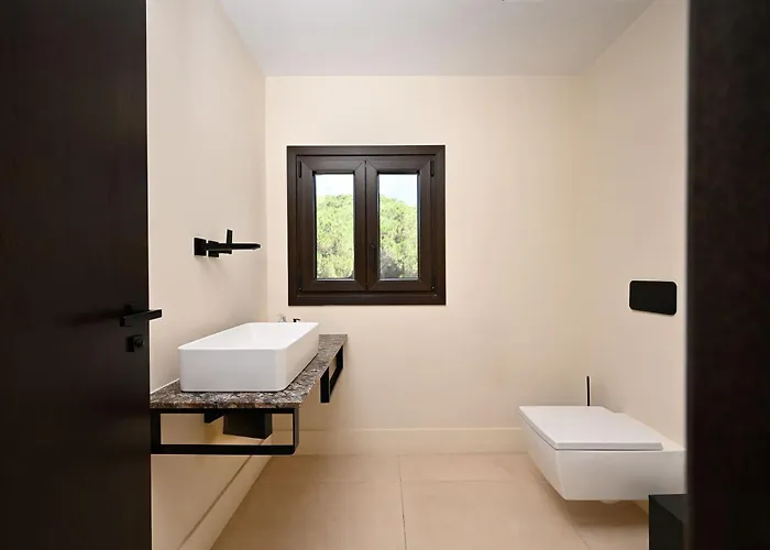 Lioness Exclusive With Pool And Sauna Marbella